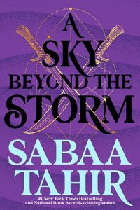 Cover image for A Sky Beyond the Storm