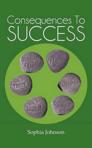 Cover image for Consequences to Success