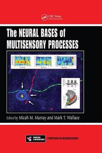 Cover image for The Neural Bases of Multisensory Processes