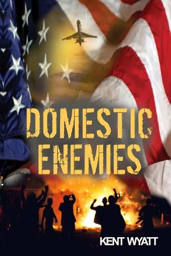 Cover image for Domestic Enemies