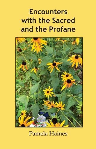 Cover image for Encounters with the Sacred and the Profane