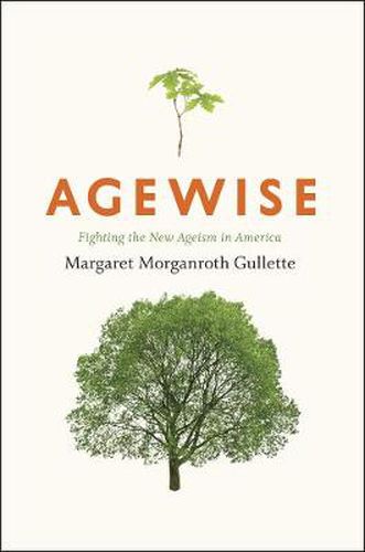 Cover image for Agewise: Fighting the New Ageism in America