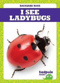 Cover image for I See Ladybugs