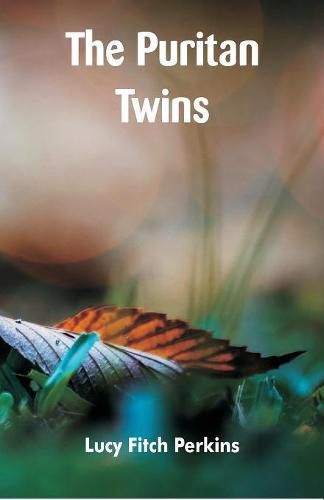 Cover image for The Puritan Twins