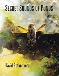 Cover image for Secret Sounds of Ponds