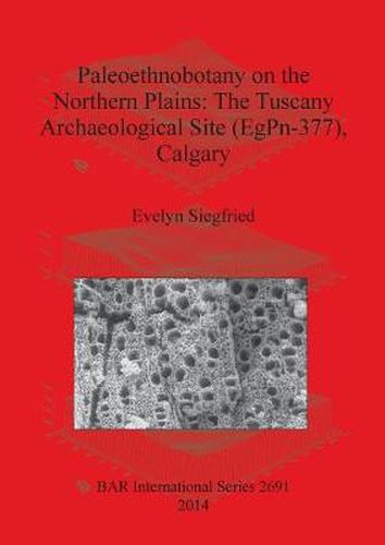 Cover image for Paleoethnobotany on the Northern Plains: The Tuscany Archaeological Site (EgPn-377) Calgary