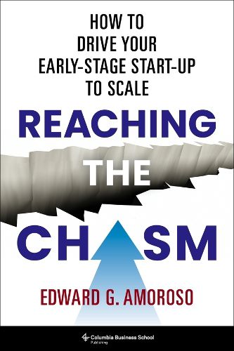 Cover image for Reaching the Chasm