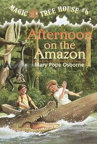 Cover image for Afternoon on the Amazon