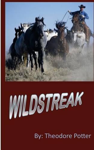 Cover image for WildStreak