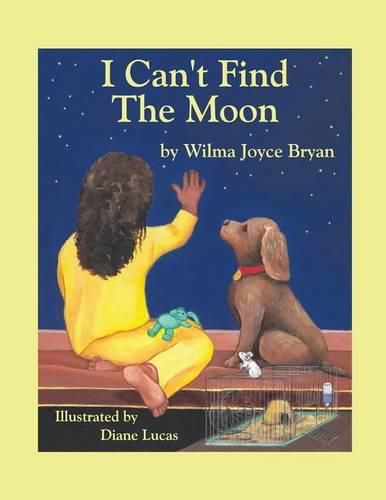 Cover image for I Can't Find the Moon