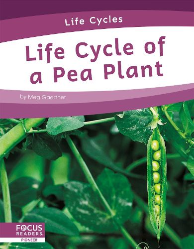 Cover image for Life Cycles: Life Cycle of a Pea Plant