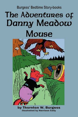 Cover image for The Adventures of Danny Meadow Mouse