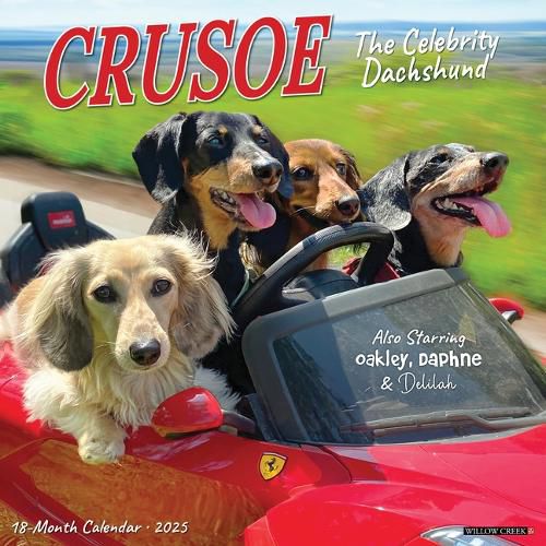 Cover image for Crusoe the Celebrity Dachshund 2026 12 X 12 Wall Calendar