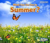 Cover image for What Can You See in Summer? (Seasons)