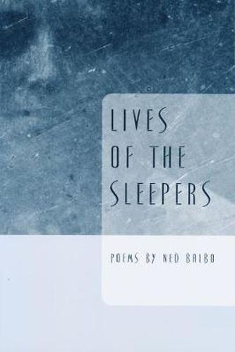 Cover image for Lives of the Sleepers