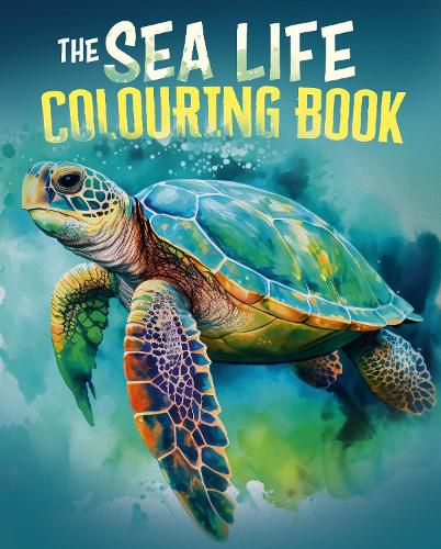 Cover image for The Sea Life Colouring Book