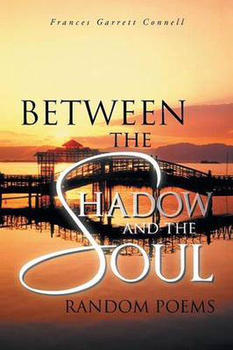 Cover image for Between the Shadow and the Soul