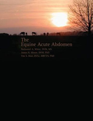 Equine Acute Abdomen