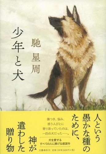 Cover image for A Boy and His Dog