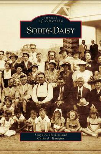 Cover image for Soddy-Daisy