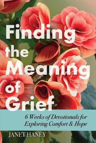 Cover image for Finding the Meaning of Grief