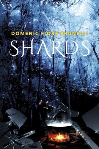 Cover image for Shards