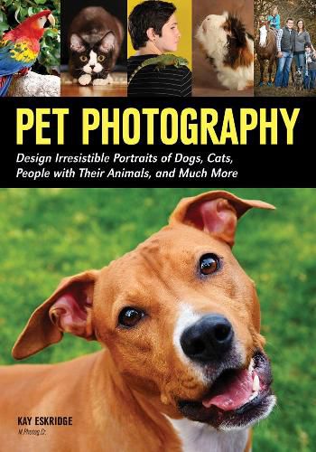 Cover image for Pet Photography: Design Irresistable Portraits of Dogs, Cats, People With Their Animals and Much More