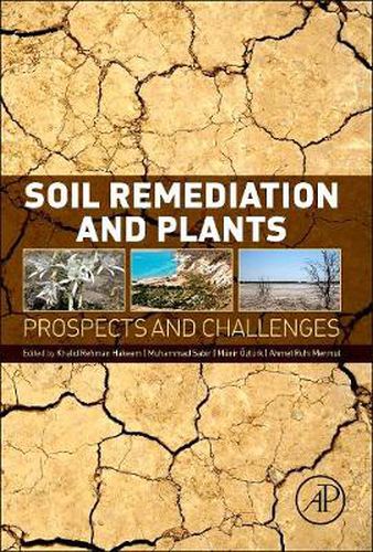 Soil Remediation and Plants: Prospects and Challenges