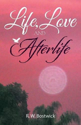Cover image for Life, Love and Afterlife