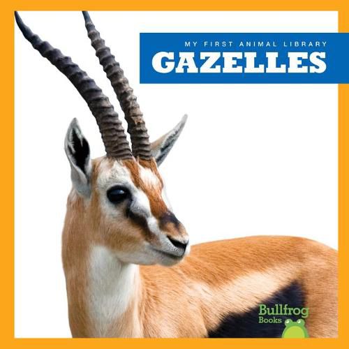 Gazelles