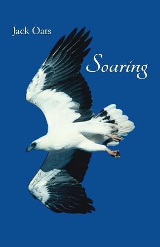 Cover image for Soaring