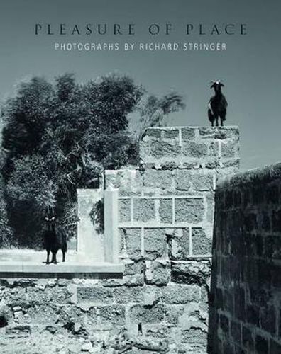 Cover image for Pleasure of Place: Photographs by Richard Stringer