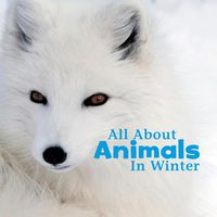 Cover image for All About Animals in Winter