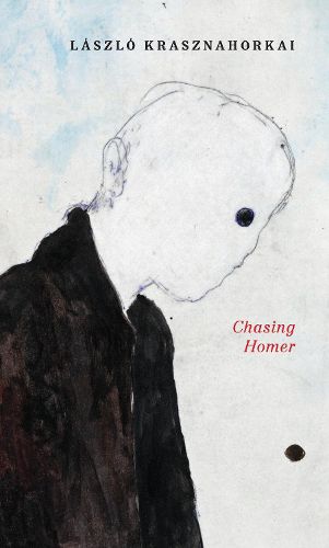 Cover image for Chasing Homer