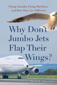 Cover image for Why Don't Jumbo Jets Flap Their Wings?: Flying Animals, Flying Machines, and How They are Different