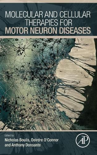 Cover image for Molecular and Cellular Therapies for Motor Neuron Diseases