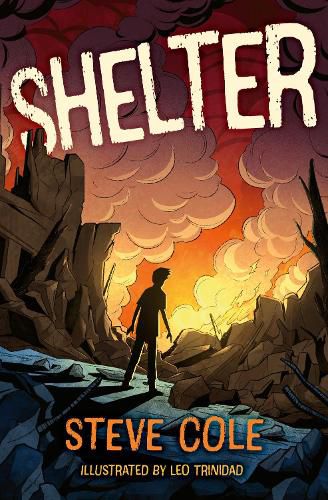 Cover image for Shelter