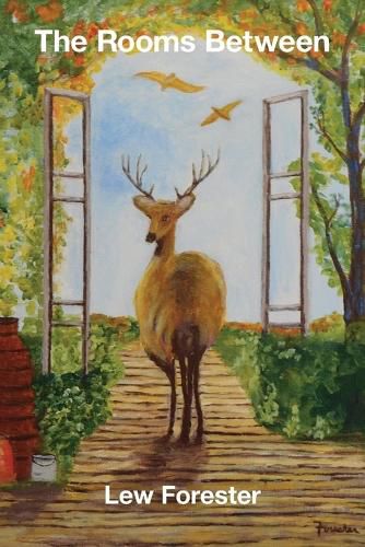 Cover image for The Rooms Between