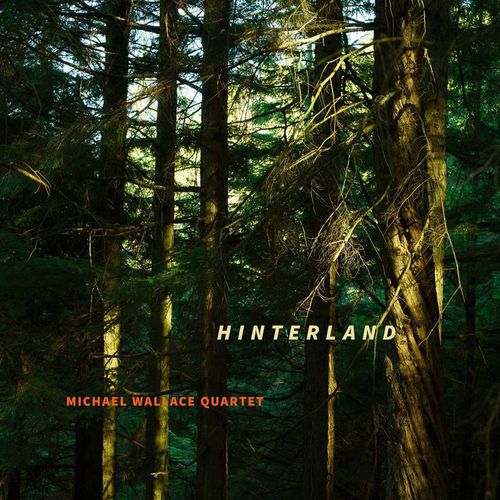Hinterland (Vinyl)