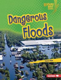 Cover image for Dangerous Floods