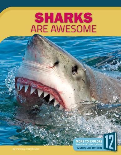 Cover image for Sharks Are Awesome