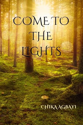 Cover image for Come to the Lights