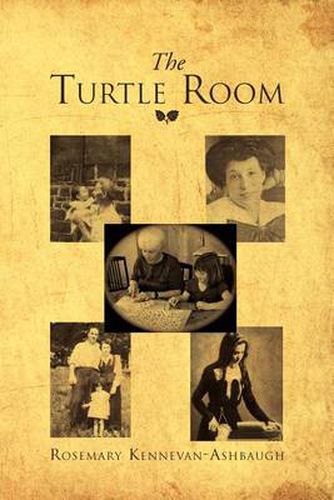 Cover image for The Turtle Room