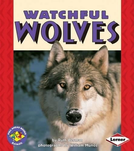 Cover image for Watchful Wolves