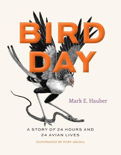 Cover image for Bird Day