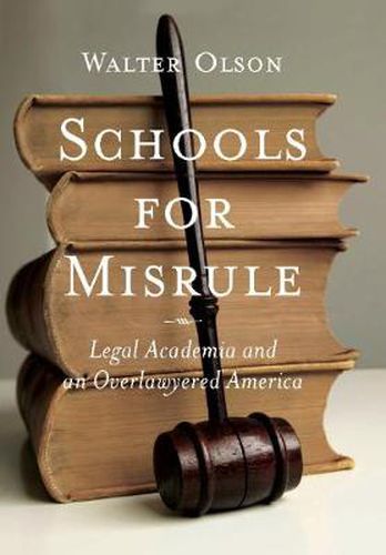 Cover image for Schools for Misrule