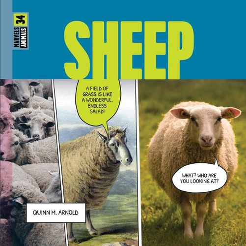 Cover image for Sheep