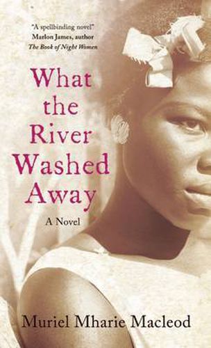 Cover image for What the River Washed Away