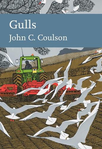 Cover image for Gulls