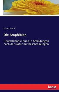 Cover image for Die Amphibien: Deutschlands Fauna in Abbildungen nach der Natur mit Beschreibungen